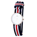 Daniel Wellington Classic Petite Silver Dial Three Tone Nylon Strap Watch for Women - DW00100255
