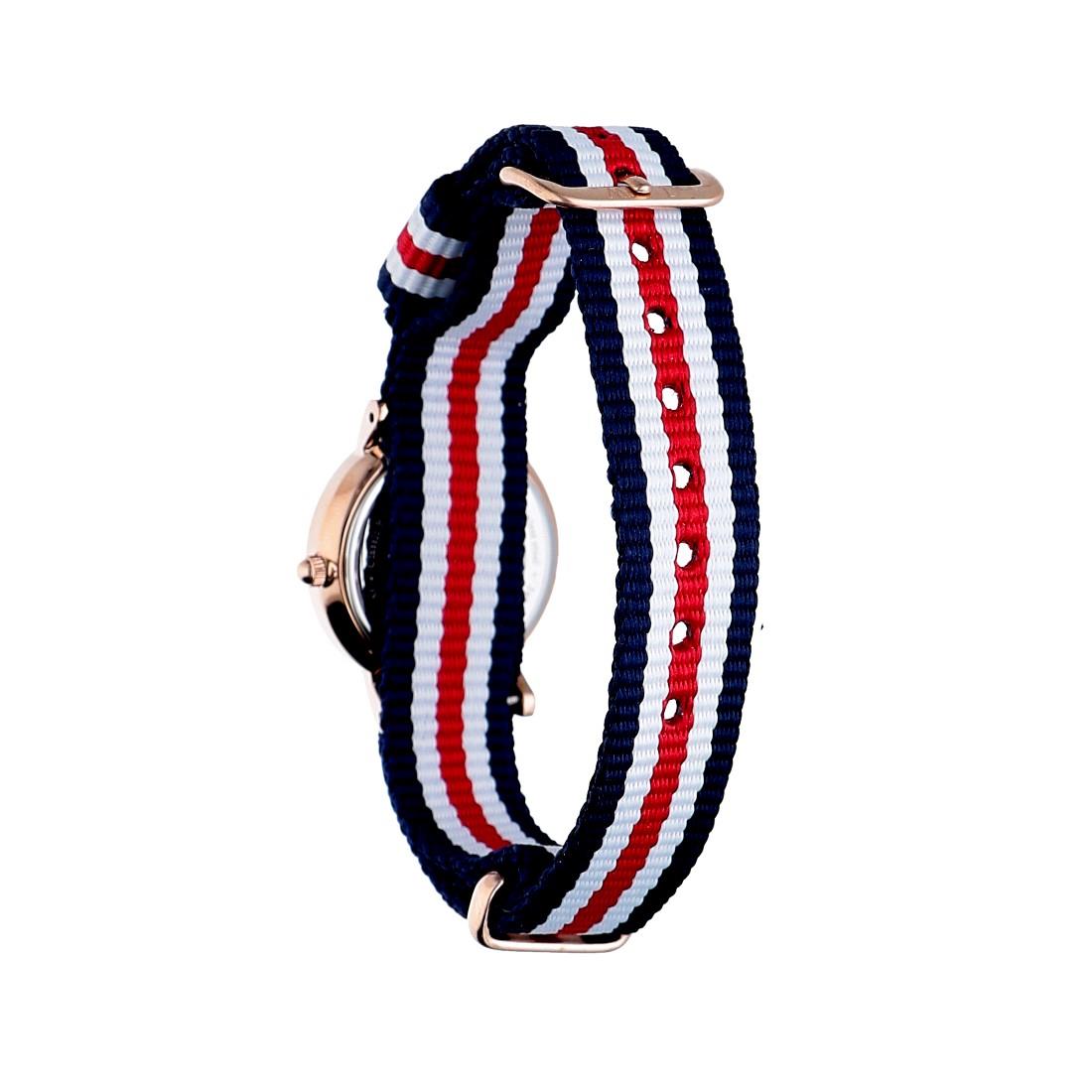 Daniel Wellington Classic Petite Silver Dial Three Tone Nylon Strap Watch for Women - DW00100255