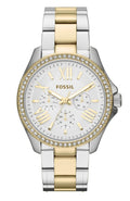 Fossil Cecile White Dial Two Tone Steel Strap Watch for Women - AM4543
