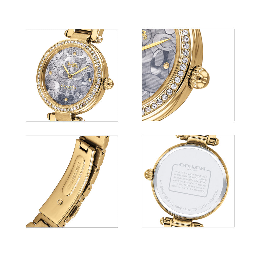 Coach Park Blue Dial Gold Steel Strap Watch for Women - 14503225