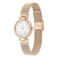 Coach Park Mother of Pearl Dial Rose Gold Mesh Bracelet Watch for Women - 14503511