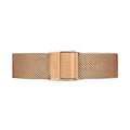 Daniel Wellington Petite Melrose Brown Dial Rose Gold Mesh Strap Watch For Women - DW00100477