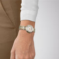 Tissot Bellissima Small Lady White Dial Two Tone Steel Strap Watch For Women - T126.010.22.013.01