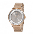 Swarovski Octea Nova Grey Dial Gold Mesh Bracelet Watch for Women - 5451634