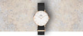 Daniel Wellington Classic Petite Cornwall White Dial Green NATO Strap Watch For Women - DW00100253