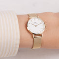 Daniel Wellington Classic Petite Evergold White Dial Gold Mesh Bracelet Watch For Women - DW00100350