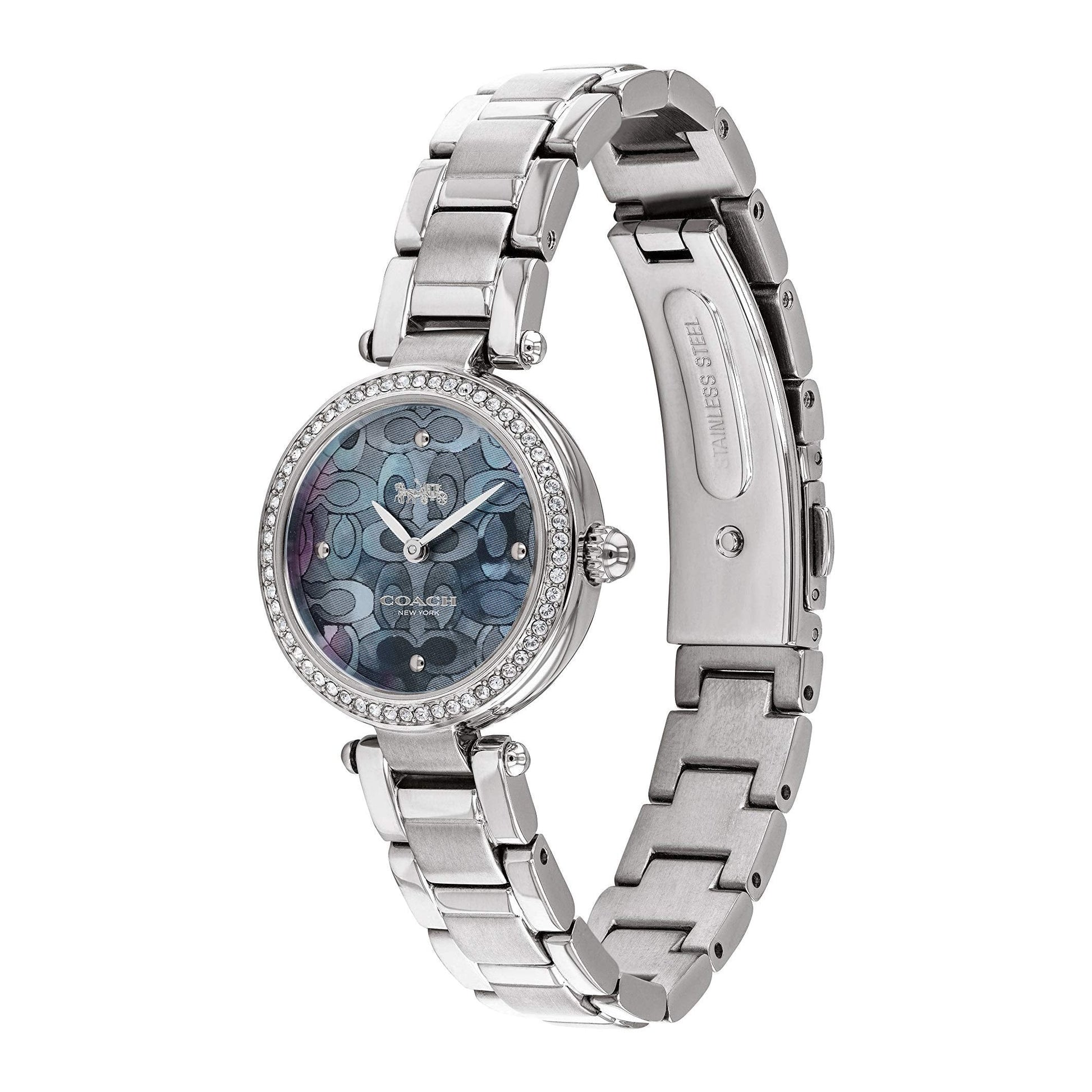 Coach Park Mother of Pearl Blue Dial Silver Steel Strap Watch for Women - 14503224
