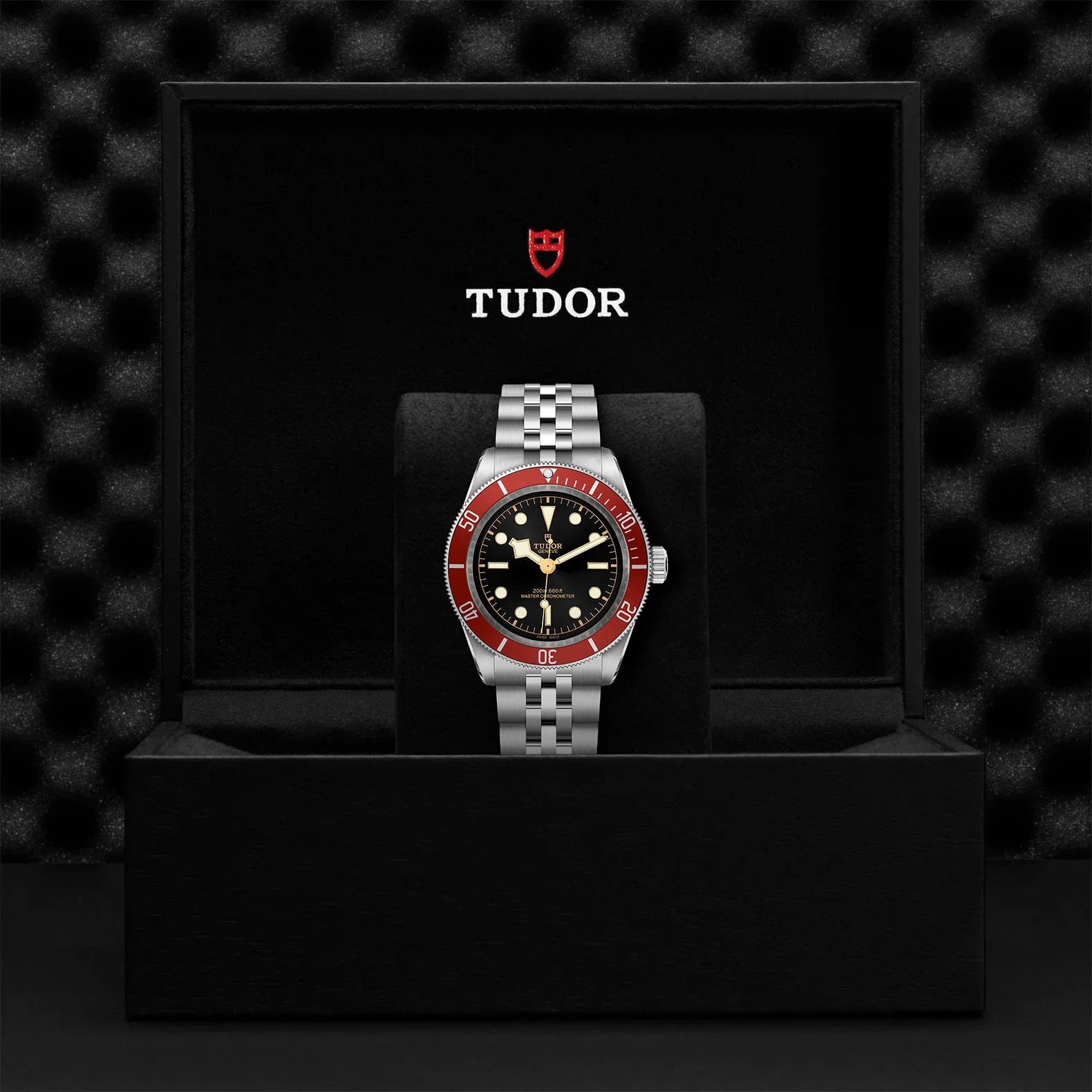 Tudor Black Bay Black Dial Silver Steel Strap Watch for Men - M7941A1A0RU-0003
