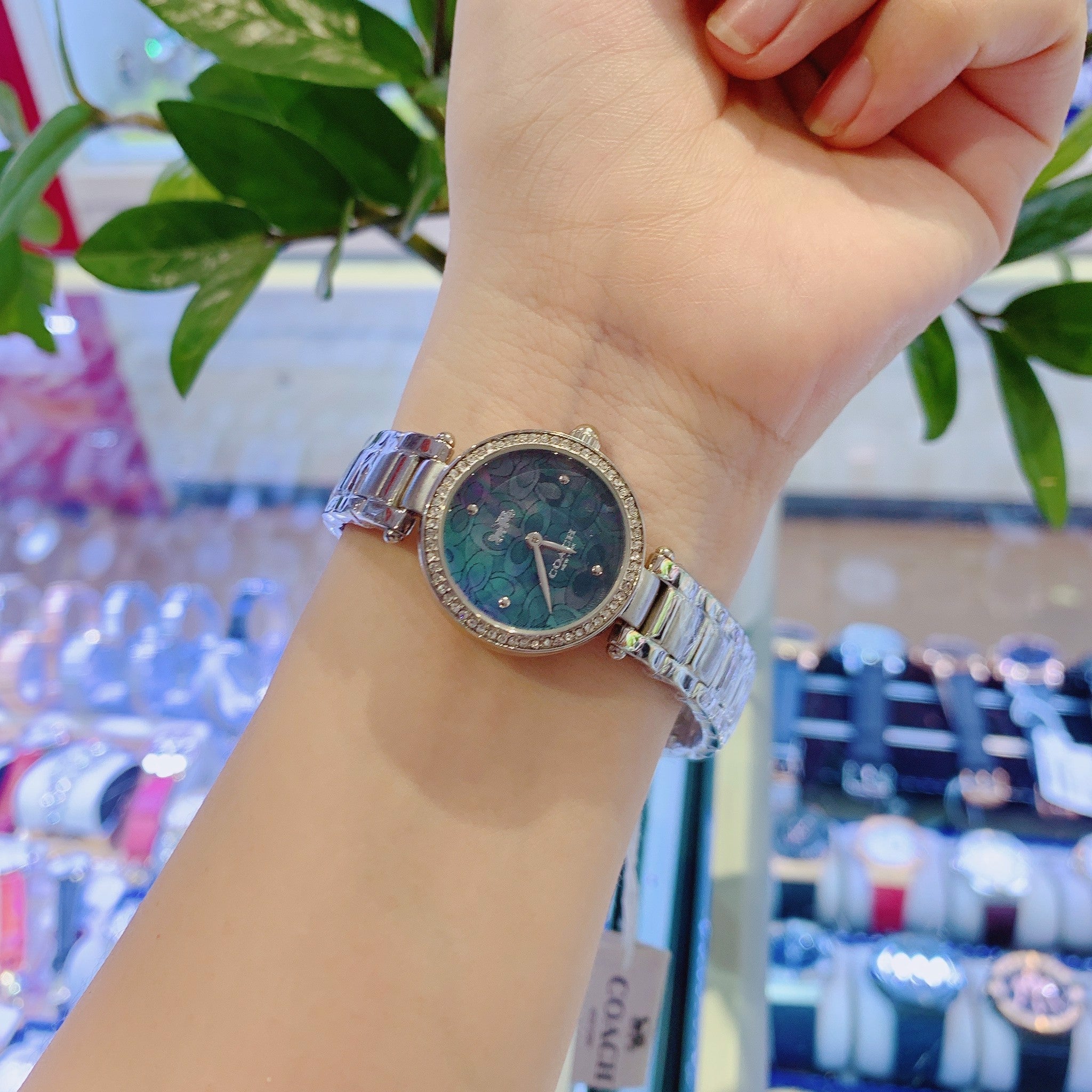 Coach Park Mother of Pearl Blue Dial Silver Steel Strap Watch for Women - 14503224