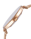 Daniel Wellington Classic Petite White Dial Rose Gold Mesh Bracelet Watch For Women - DW00100219