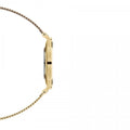 Daniel Wellington Classic Petite Evergold Black Dial Gold Mesh Bracelet Watch For Women - DW00100349