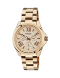Fossil Cecile Rose Gold Dial Rose Gold Steel Strap Watch for Women - AM4511