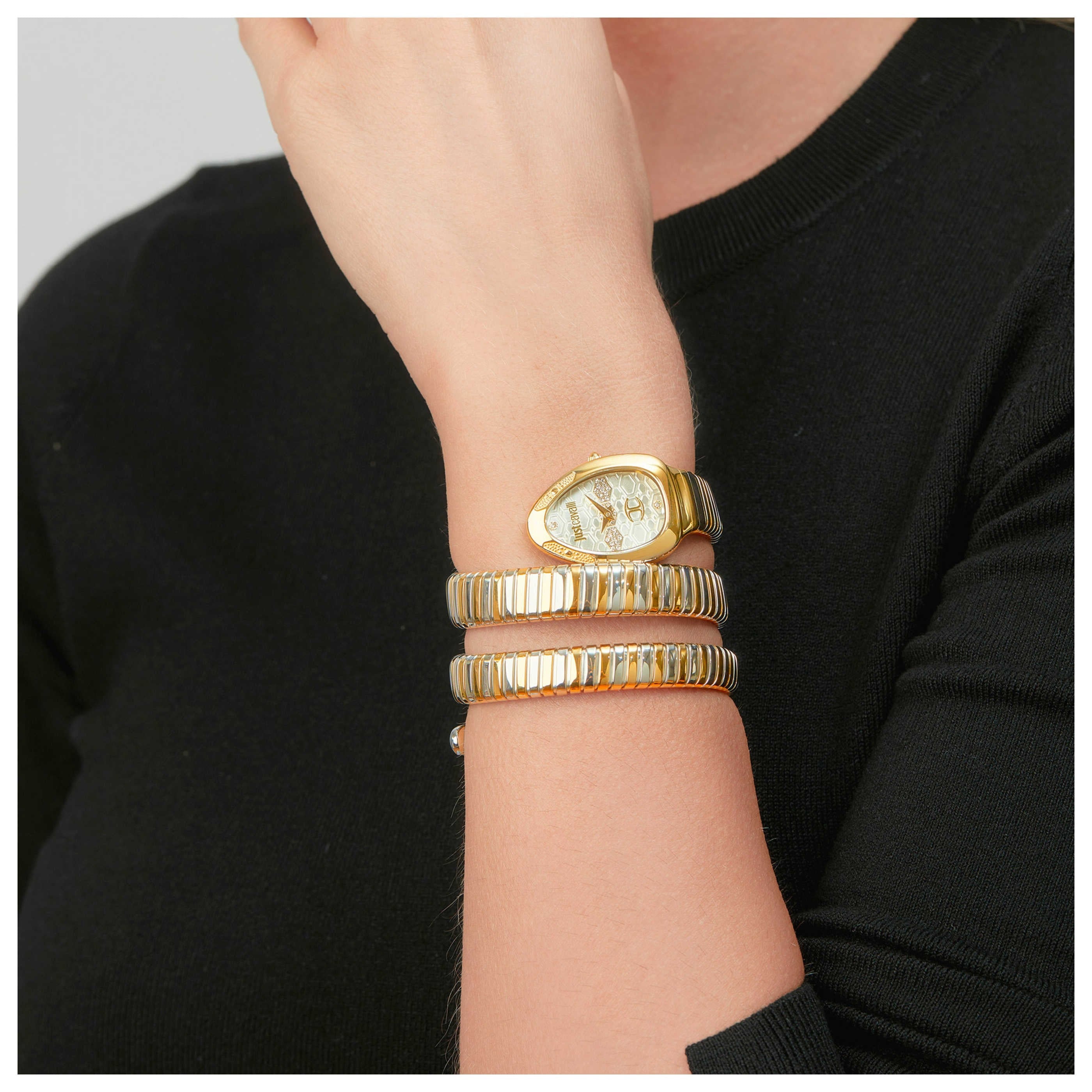 Just Cavalli Cosenza Silver Dial Two Tone Steel Strap Watch for Women - JC1L232M0055