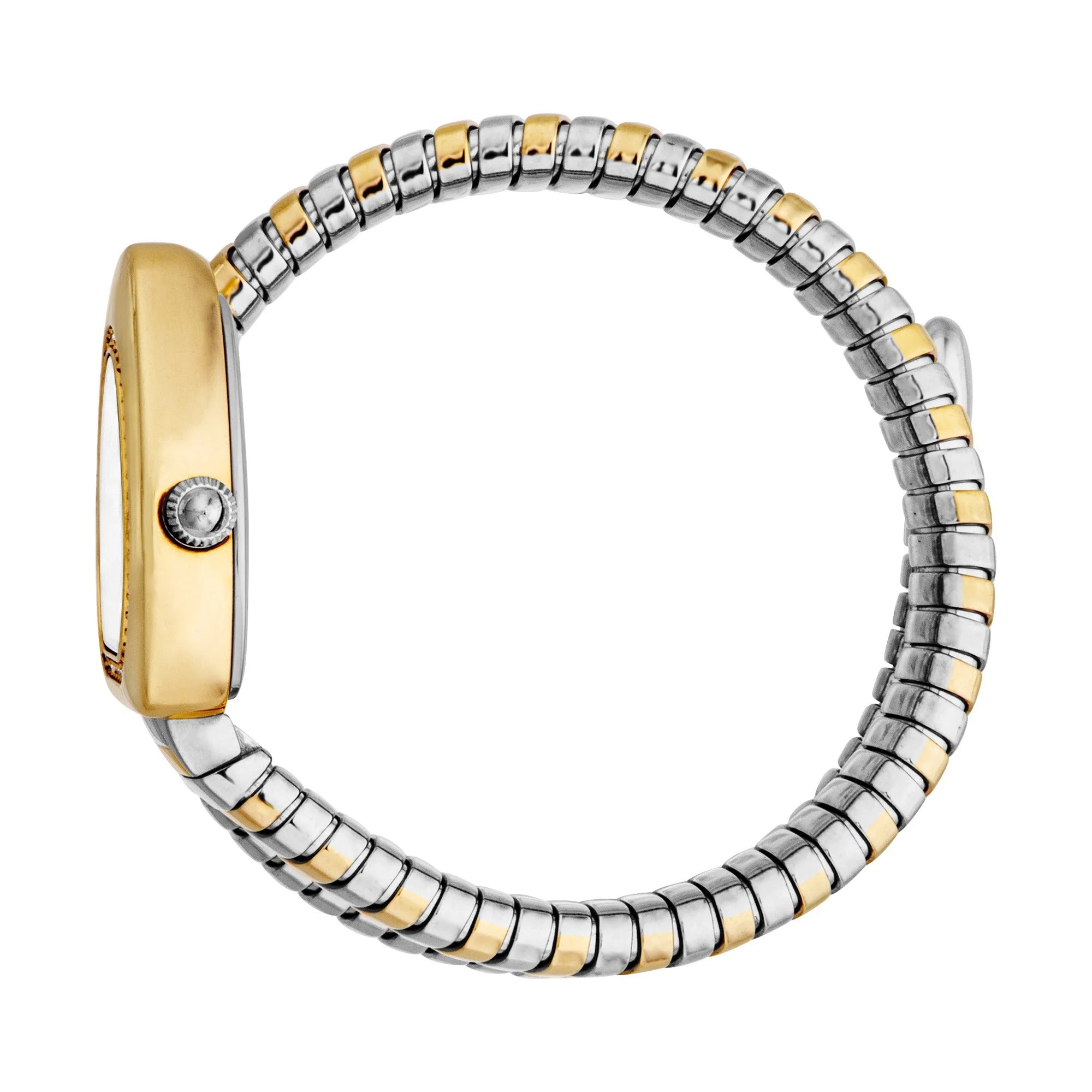 Just Cavalli Lady Snake Silver Dial Two Tone Steel Strap Watch for Women - JC1L249M0055