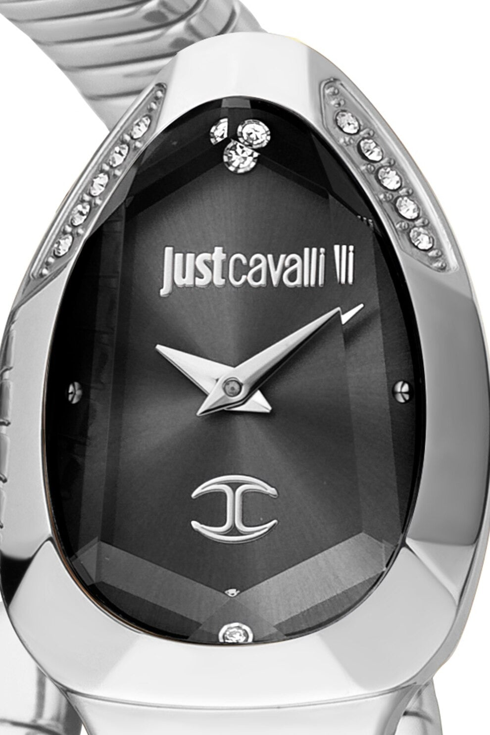 Just Cavalli Serpente Metallica Black Dial Silver Steel Strap Watch for Women - JC1L208M0025