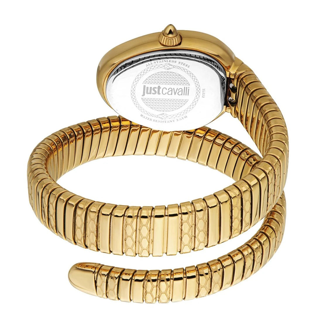 Just Cavalli Aversa Silver Dial Gold Steel Strap Watch for Women - JC1L222M0025