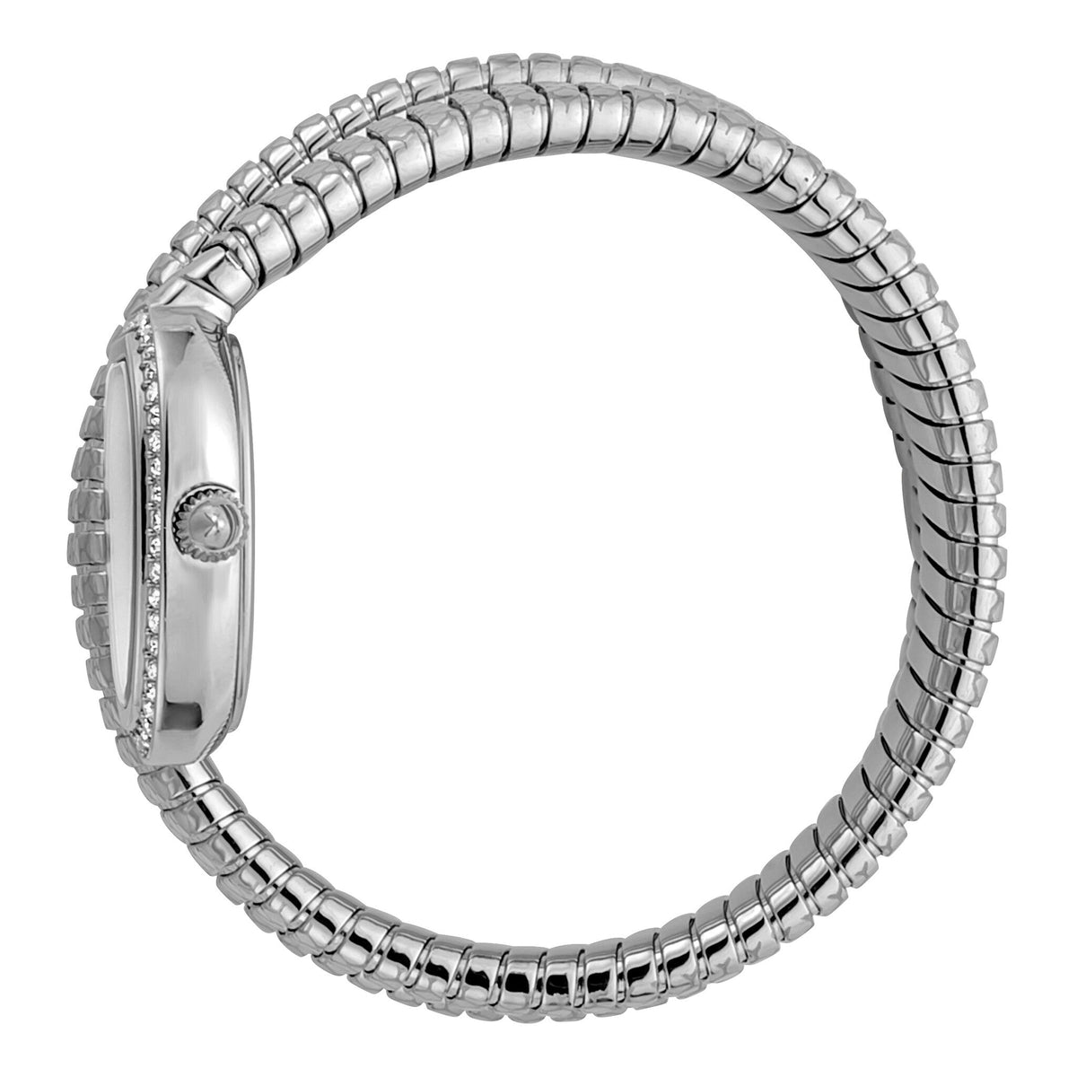 Just Cavalli Doppio Silver Dial Silver Steel Strap Watch for Women - JC1L163M0015