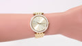 Michael Kors Darci Silver Dial Gold Stainless Steel Strap Watch for Women - MK3191